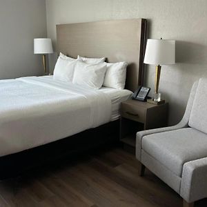 Zimmer mit Kingsize-Bett